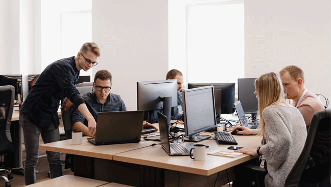 application-softwarecfvgbhn